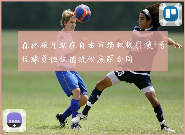 森林狼计划在自由市场积极引援4号位球员但仅能提供底薪合同